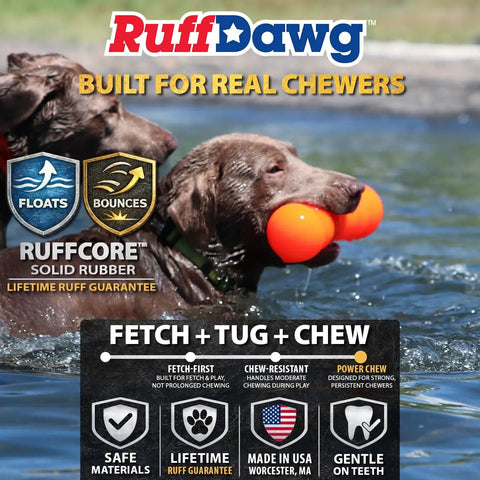 Dog in water with Big Dawg Barbell XL Heavy Duty Solid Rubber Dog Chew Toy For Medium To Large Dogs, floats and bounces.