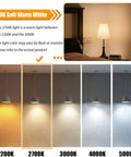 Comparison of 12 Pack Dimmable LED Light Bulbs ST19 Vintage Edison Style E26 Bulbs in various color temperatures, highlighting 2700K soft warm white.