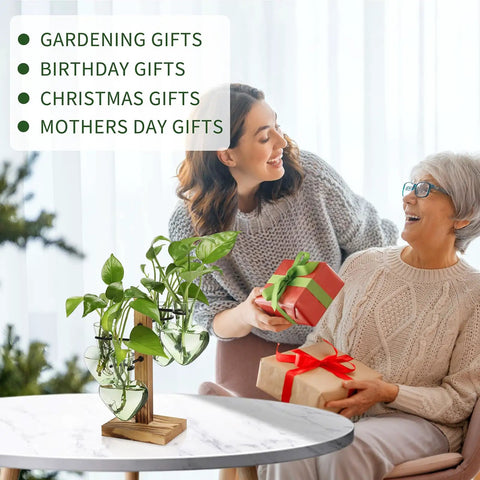 Colorful Glass Plant Terrarium Propagation Stations With Wooden Stand on table with two women exchanging gifts