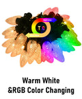 Outdoor C9 Christmas Lights 134 Feet 150 LED, App Controlled, featuring warm white and RGB color changing modes