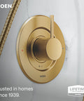 Super Sleek Brushed Gold Tub And Shower Trim Kit Featuring Smooth Pressure Balancing Controls and Water Saving Efficiency for a Pretty Dang Nice Bathroom Upgrade.