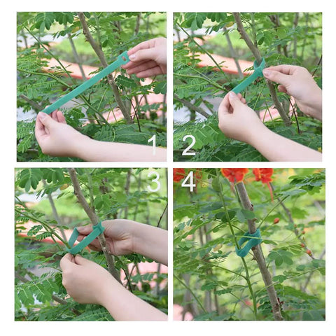 Using Green Garden Cable Ties for Plants and Vines, 8 Inch, Adjustable Nylon Ties in 4 steps to support garden plants