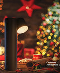 Lit LED Desk Lamp With Dimmable Brightness And 180 Degree Rotating Head, Three Color Temp Settings, ideal for Christmas