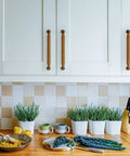 Ten Pack 5 Inch 128mm Antique Brass Cabinet Handles on white kitchen cupboards above a tiled backsplash and countertop with potted plants