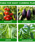 Foldable A Frame Garden Trellis For Cucumber Beans And Vines In Raised Beds Yard Ready Outdoor Green 15x47 Inches plants