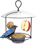 Bluebird Buffet Metal Bird Feeder With Protective Baffle For Outdoor Decor Glass Dish Holds Three Quarters Cup Capacity Easy To Refill And Clean Attracts Multiple Bluebirds