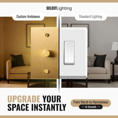 One Gang Solid Brass Rotary Dimmer Switch With Three Way And Single Pole Compatibility Satin Brass Finish Smooth Dimming For Modern And Classic Rooms Includes Knob Faceplate And Module, brass rotary dimmer in living room
