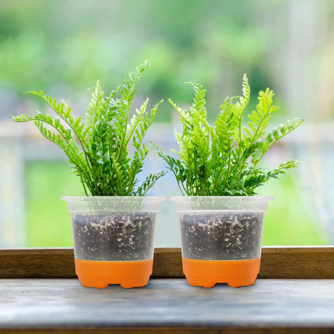 Clear 4 Inch Nursery Pots With Flexible Silicone Base For Easy Transplanting No Fuss Reusable Seedling Pots With Plants