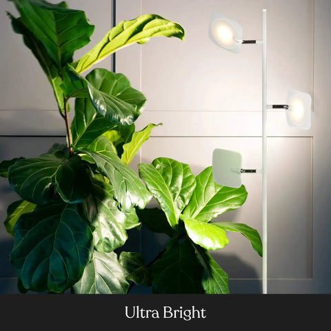 Tree Floor Lamp For Living Rooms And Offices, Dimmable LED Spotlight Tall Lamp With Adjustable Panels next to green plants