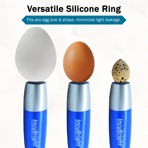 Ultra Bright LED Egg Candler Portable Light for All Egg Sizes showing eggs secured with silicone ring for clear candling