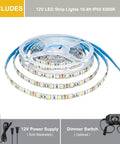 Lit 12V Cool White LED Strip Lights 6000K 6500K 16.4ft Flexible SMD5050 Rope Light With 300 LEDs Dimmable IP65 Waterproof