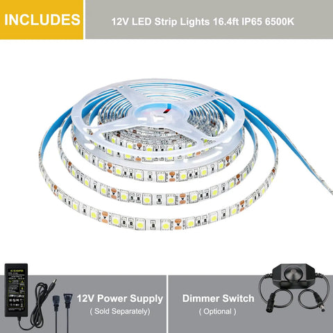 Lit 12V Cool White LED Strip Lights 6000K 6500K 16.4ft Flexible SMD5050 Rope Light With 300 LEDs Dimmable IP65 Waterproof
