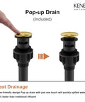 Brushed Gold Bathroom Faucet With Single Hole Lavatory Vanity, Modern Single Handle Sink Faucet Gold, Includes Pop Up Drain And Water Supply Hoses LJ-9031-4 showing pop-up drain mechanism