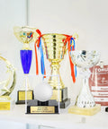 Custom Golf Ball Display Case With Clear Acrylic Holder Laser Engraved Plaque on shelf with gold and silver trophies