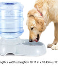 No Sweat Gravity Dog And Cat Feeder Set With Water Dispenser Includes Two Three Gallon Bowls For Small Pups And Kitties Making Automatic Mealtime A Total Breeze, featuring a water dispenser and golden retriever.