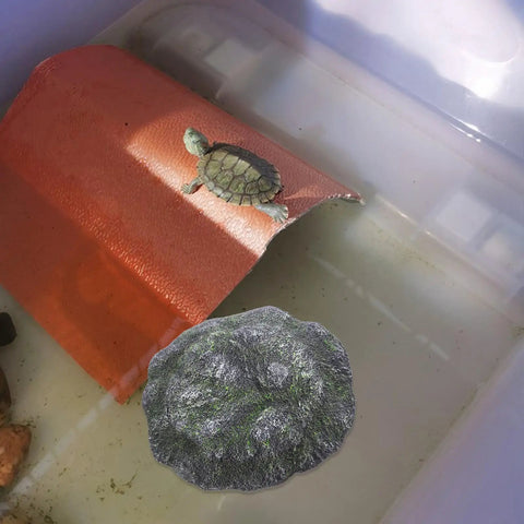 Top Shelf Floating Turtle Basking Platform With Smooth Stairs And Low Key Indestructible Resin Build Straight Up Perfect Chill Dock And Resting Rock For Small Tortoises And Reptile Tanks on water with a turtle.