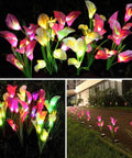 Three Pack Solar Garden Stake Lights With Realistic Calla Lily Flowers illuminating garden path at night