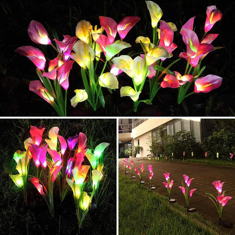Three Pack Solar Garden Stake Lights With Realistic Calla Lily Flowers illuminating garden path at night