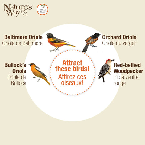 Bird illustration featuring Baltimore Oriole, Orchard Oriole, Bullock's Oriole, and Red-bellied Woodpecker with text promoting species attraction.