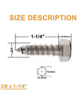 Twenty Pack 3/8 In. X 1-1/4 In. Hex Lag Screws Crafted From Grade 304 Stainless Steel for heavy duty outdoor framing size details.