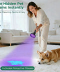 Woman uses Powerful 100 LED UV Black Light Flashlight 395nm for pet urine detection on rug, corgi nearby