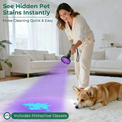 Woman uses Powerful 100 LED UV Black Light Flashlight 395nm for pet urine detection on rug, corgi nearby