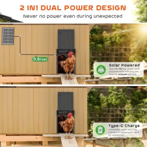 Built Tough Automatic Chicken Coop Door With 4000mAh Battery Solar Powered 7W Solar Panel Timer Light Sensor in Use