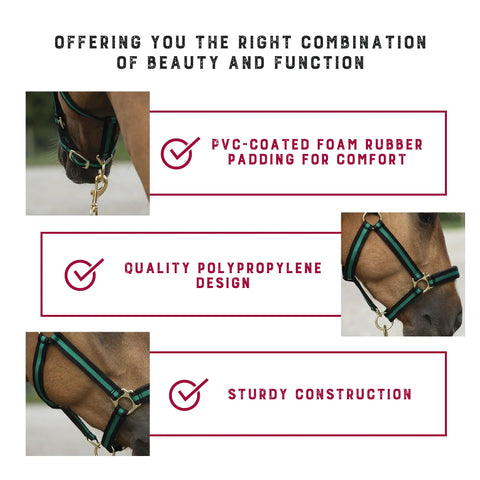 Breakaway Horse Halter With All Day Comfort Foam Padding, PVC Coated Foam, Adjustable Chin Snap, Green, Polypropylene, Horse