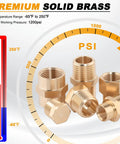 All-In-One 66 Piece Brass Pipe Fittings Kit With NPT Adapters Reducers Hex Bushings Nipples Couplings And Plugs for high pressure use