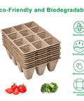 Biodegradable Seed Starter Trays With 60 Cells In 5 Pack for seedlings shown with eco-friendly features and vegetables