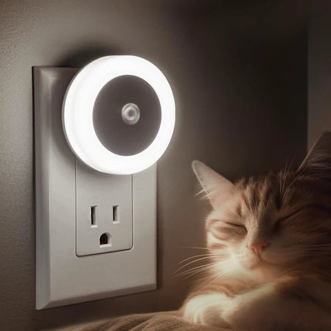 Two Pack Plug In LED Night Lights With Sensor Auto On At Dusk Kid Friendly light plugged into wall near sleeping cat