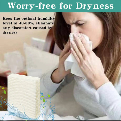 Woman using tissue with Six Pack Replacement Filters For Honeywell HFT600 HEV615 HEV620 Models HFT600T And HFT600PDQ shown.