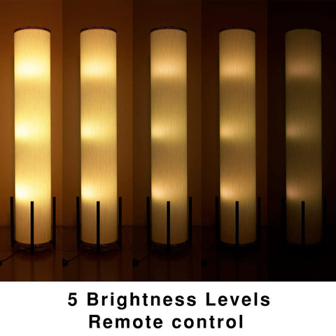 61 Inch RGB LED Floor Lamp With Remote Dimmer And Three Smart Bulbs showing five brightness levels