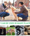 Stainless steel double-ended bolt snap hooks; collage shows leash, keys, climbing gear, and pet carrier uses.