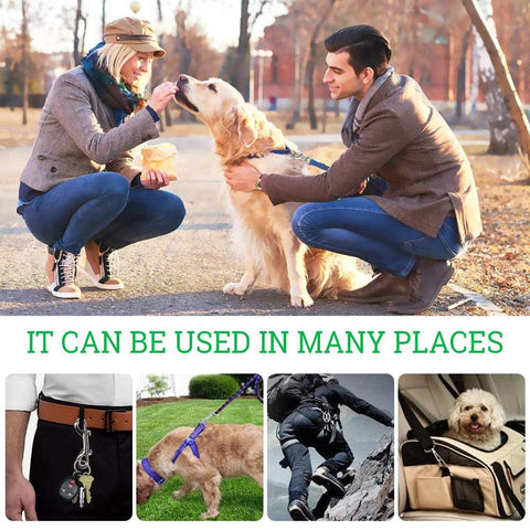 Stainless steel double-ended bolt snap hooks; collage shows leash, keys, climbing gear, and pet carrier uses.