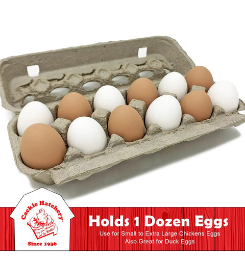 Vented Paper Pulp Egg Cartons 12 Pack Holds 1 Dozen Eggs Biodegradable And Compostable Recycled Paper For Backyard Flock
