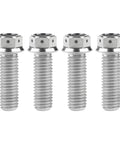 Four silver titanium flange hex head bolts, M10x30mm, 1.25mm pitch, front view.