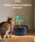 Cat drinking from Cat Water Fountain With Copper Faucet, 71oz 2.1L Automatic Pet Hydration Dispenser with plastic bowl and filter.