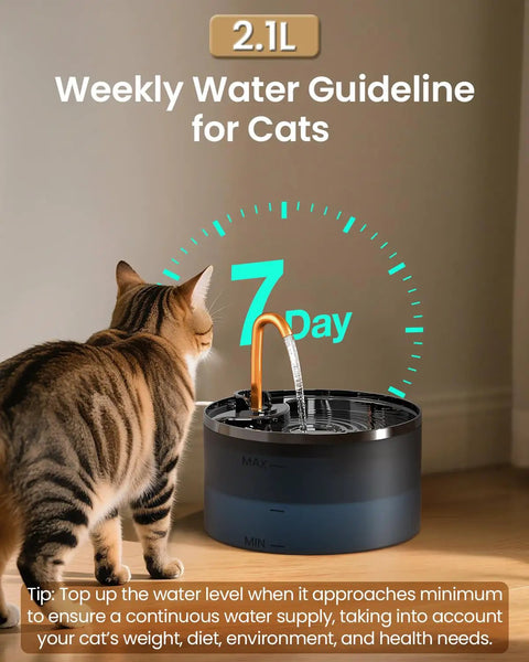 Cat drinking from Cat Water Fountain With Copper Faucet, 71oz 2.1L Automatic Pet Hydration Dispenser with plastic bowl and filter.