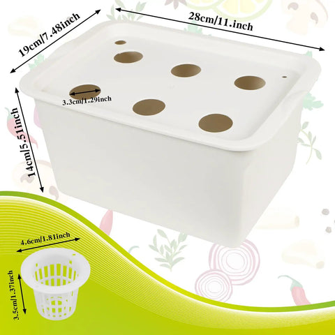 DIY Indoor Hydroponics Grow Kit With Self Watering System planting box shown from above with basket dimensions