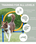 Dog jumping through Dog Agility Ring Jump 22 Inch Diameter For Training And Fun At Home Portable Pro Grade Gear