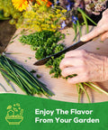Person chopping herbs with knife on wooden board, representing 10 Herb Seeds Variety Pack With Over 7000 Heirloom Non GMO Seeds