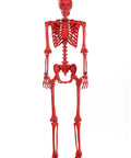 Red Pose-N-Stay Skeleton For Halloween Decor, Five Foot Tall Poseable Prop With Ratcheted Elbows And Knees That Hold Any Pose, hanging view