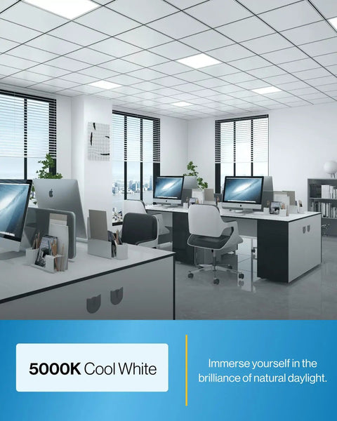 Modern office with 4 Pack 2x2 LED Flat Panel Light 5000K Daylight, 40W Dimmable 0 to 10V, 4400 LM Back Lit Drop Ceiling Troffer Fixture.