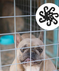 Wire Cage Door Clips For Pet Crates And Animal Gates Sturdy Latches And Quick Installation 40 Pack shown on a pet cage