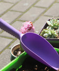 Thickened Plastic Garden Soil Scoop With Ergonomic Handle, Lightweight Hand Shovel For Potting Succulents And Balcony Plants, Black, Durable Transplant Tool For Quick Planting And Mess Free Use, Your Go To Potting Companion placed in a garden setting with potted succulents in the background