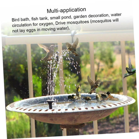 1.6W Solar Powered Pump Kit For Outdoor Water Features And Floating Fountains in bird bath with birds