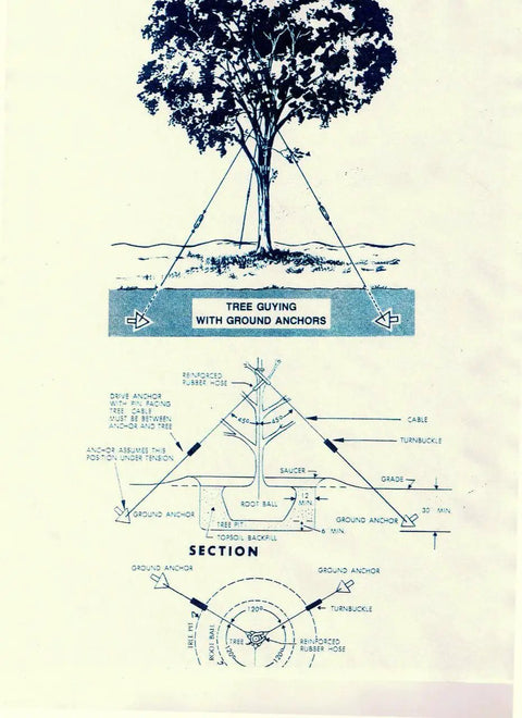 Diagram of Six To Ten Inch Diameter Tree Guying Kit With Turnbuckles For Heavy Duty Stabilization Includes Arrowhead Earth Anchors