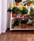Plant shelf with terracotta pots, showing black caster wheels for 2 Pack Black Stem Caster Wheels Replacement For Laundry Racks.