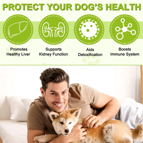 Game Changer Milk Thistle For Dogs With 180 Chewable Tablets showing a man with a dog highlighting health benefits.